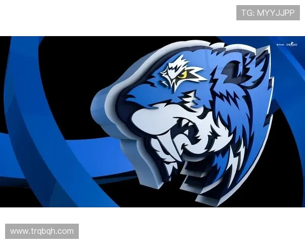 CSGO战术深度解析：揭开EDG战队的胜利秘密与策略布局